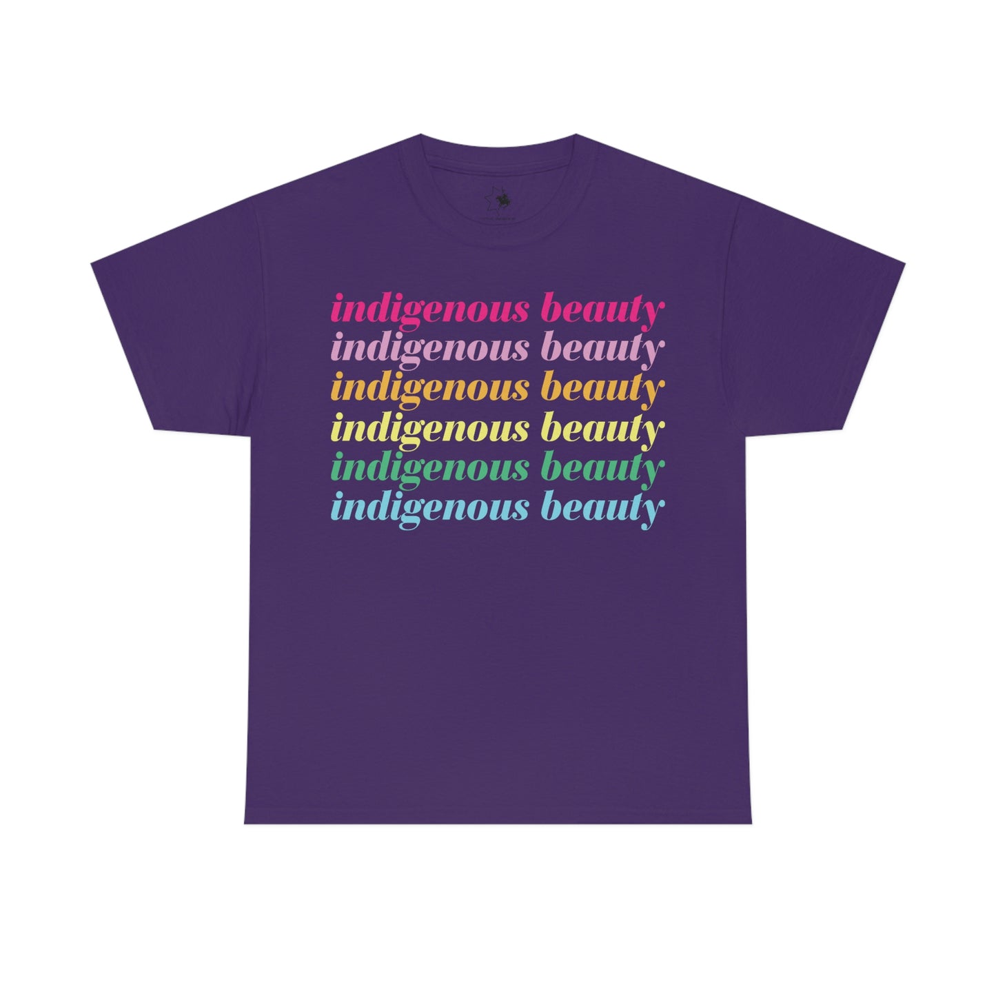 Indigenous Beauty Unisex Heavy Cotton Tee
