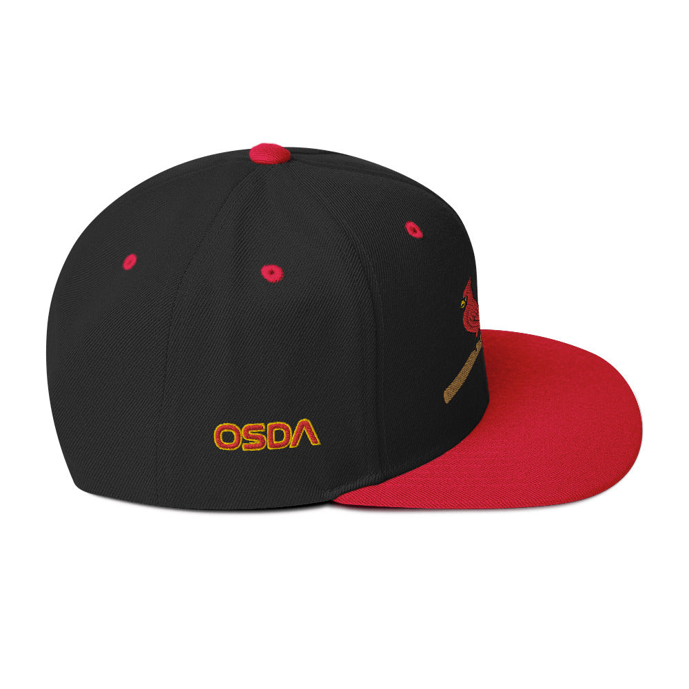 Birdtown Stickball Snapback Hat