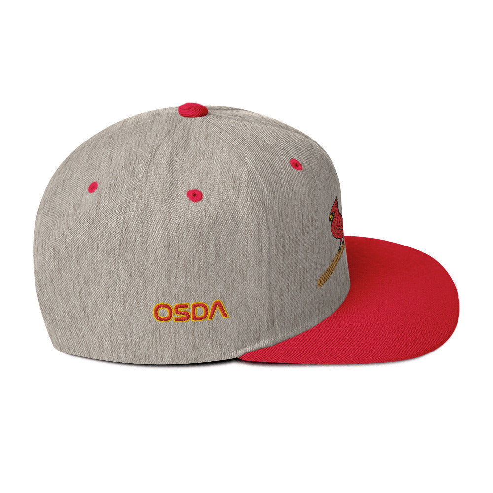 Birdtown Stickball Snapback Hat